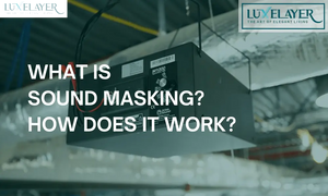 What is Sound Masking? How Does It Work? And Other FAQs